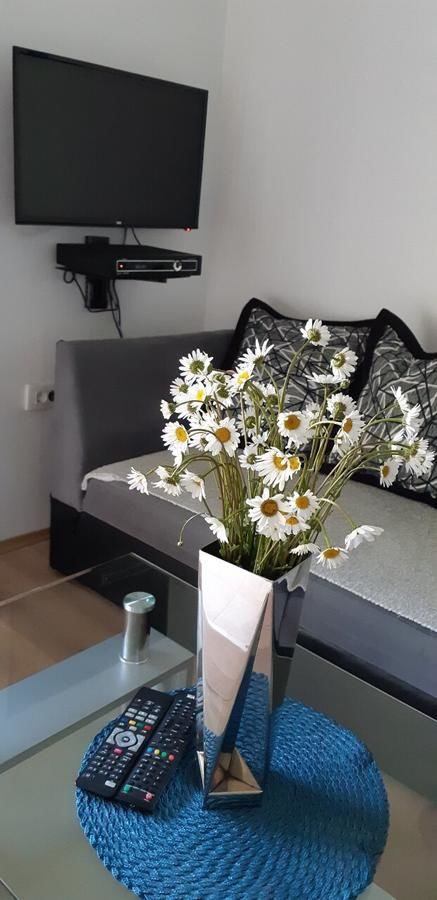 Апартаменты Cvjetni Apartmani Цетине