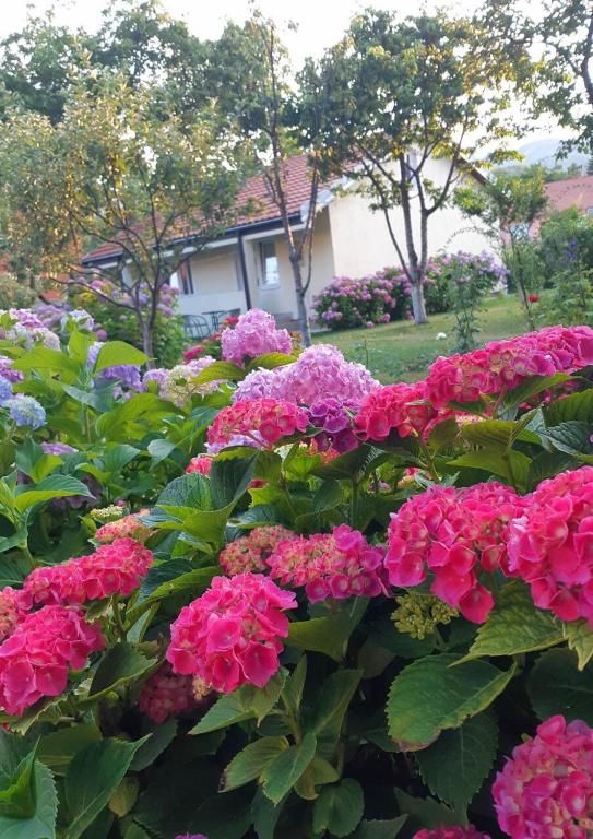 Апартаменты Cvjetni Apartmani Цетине-38