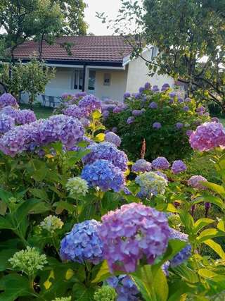 Апартаменты Cvjetni Apartmani Цетине Апартаменты с 1 спальней-12