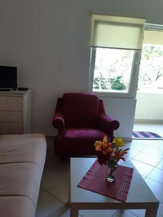 Апартаменты Cvjetni Apartmani Цетине Апартаменты с 1 спальней-7