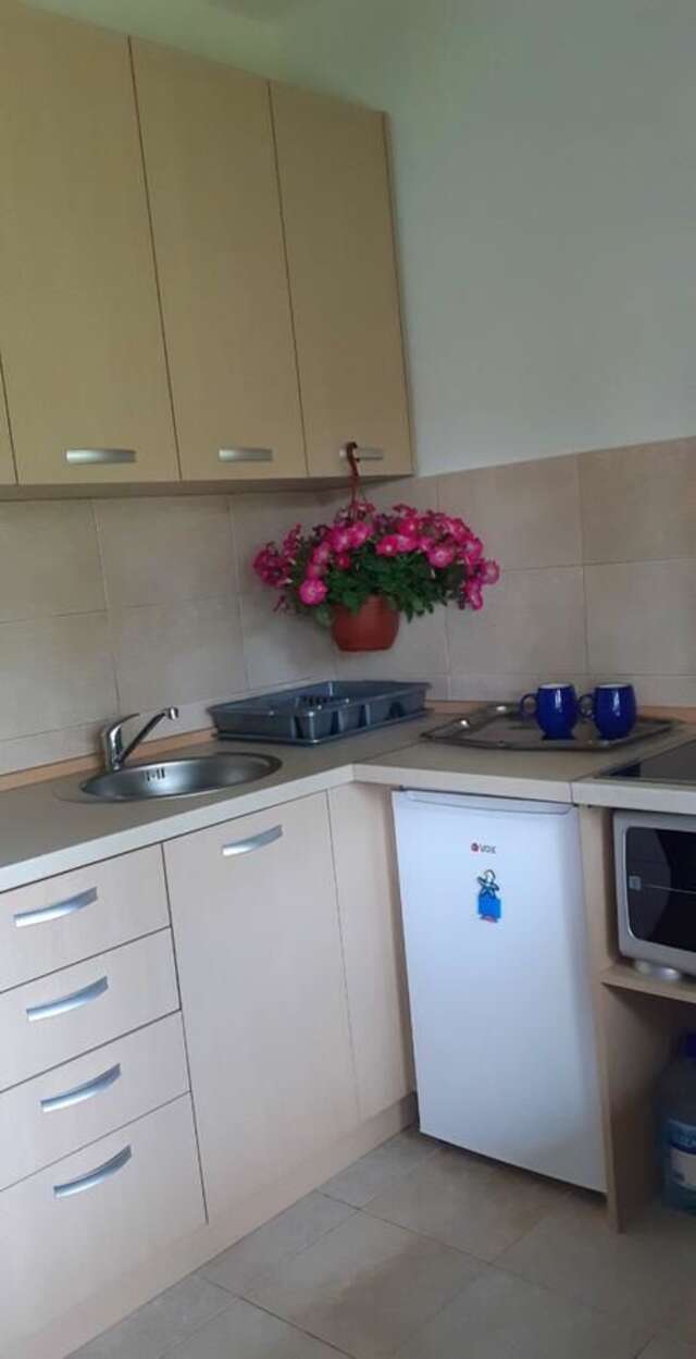 Апартаменты Cvjetni Apartmani Цетине-29