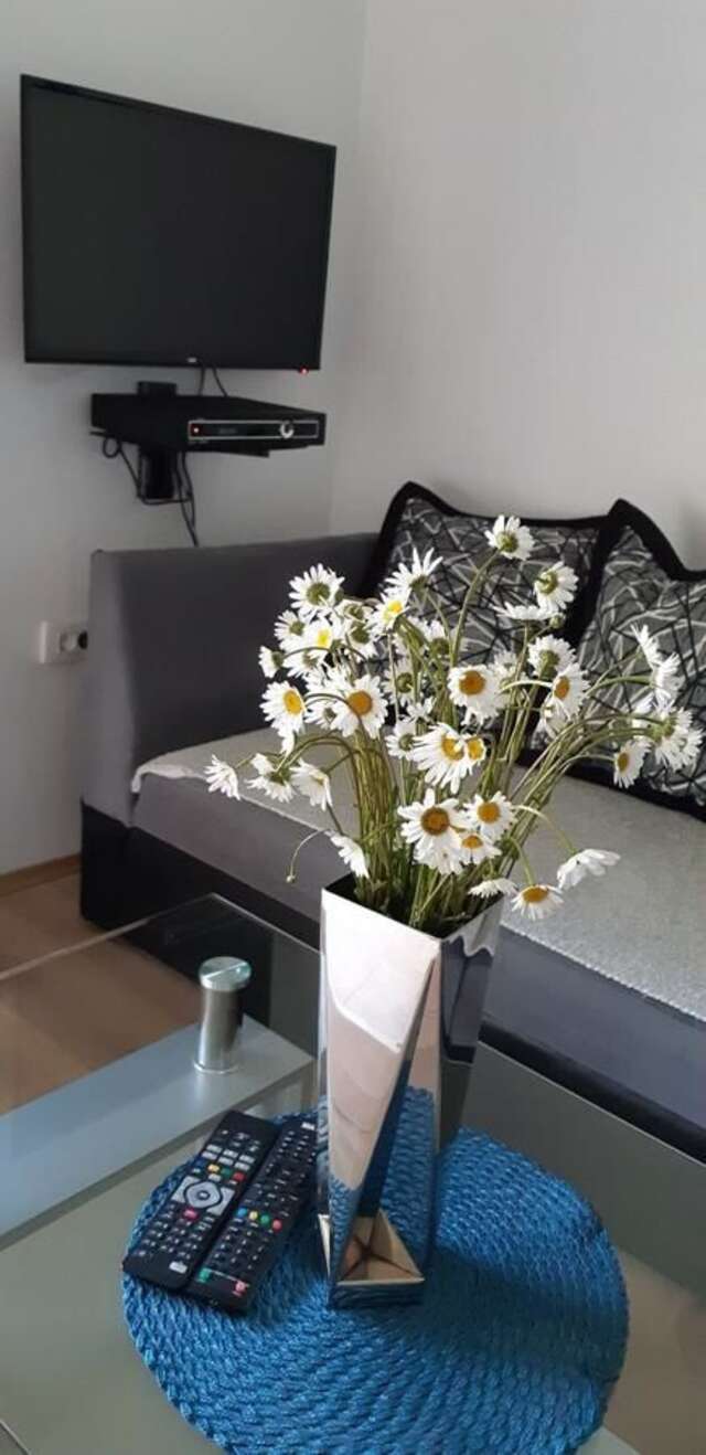 Апартаменты Cvjetni Apartmani Цетине-30